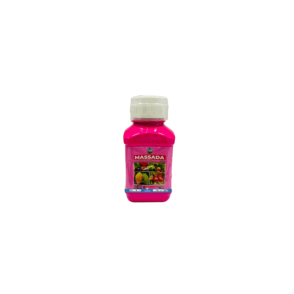 MASSADA 100ML
